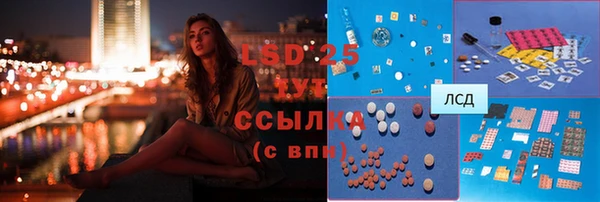 ПСИЛОЦИБИНОВЫЕ ГРИБЫ Арсеньев