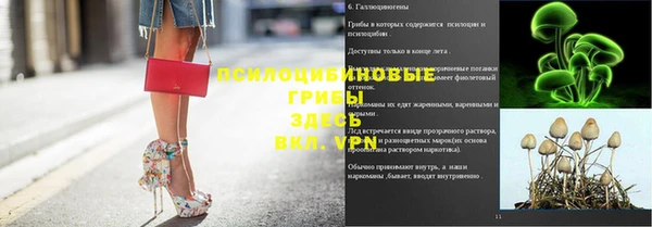 бошки Аркадак