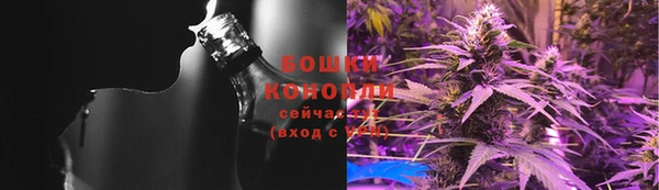 ПСИЛОЦИБИНОВЫЕ ГРИБЫ Арсеньев