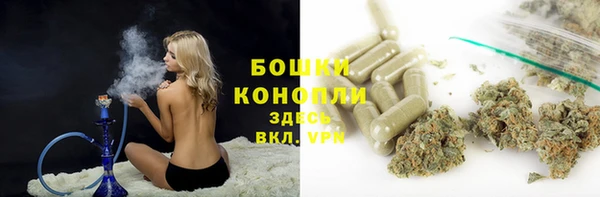 бошки Аркадак