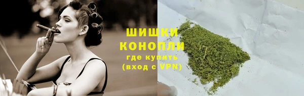 ПСИЛОЦИБИНОВЫЕ ГРИБЫ Арсеньев