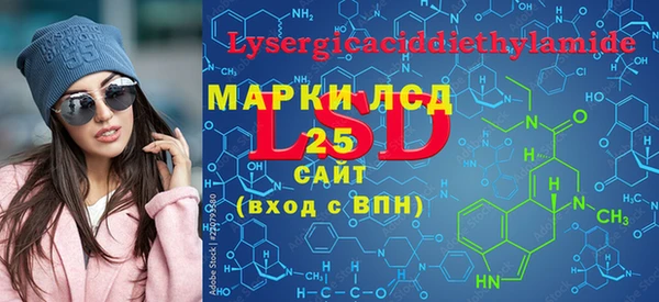 ПСИЛОЦИБИНОВЫЕ ГРИБЫ Арсеньев