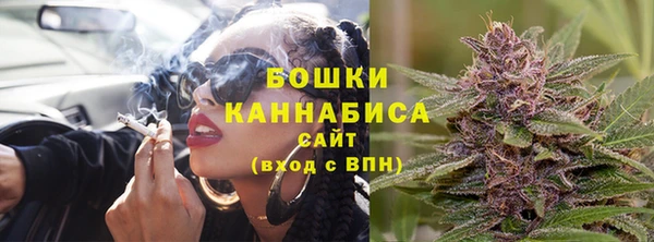 ПСИЛОЦИБИНОВЫЕ ГРИБЫ Арсеньев