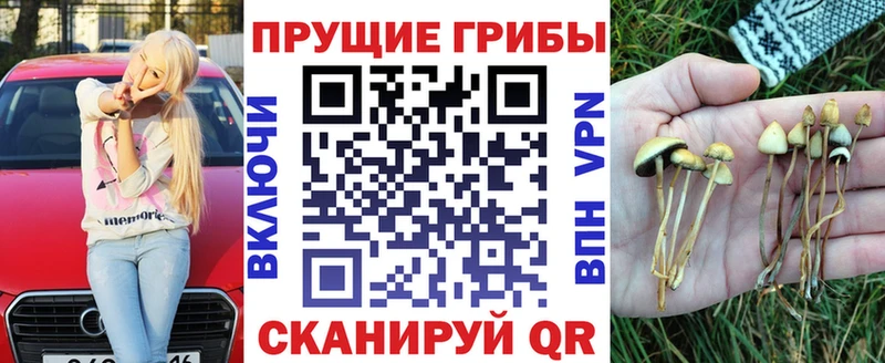 Псилоцибиновые грибы ЛСД Отрадный